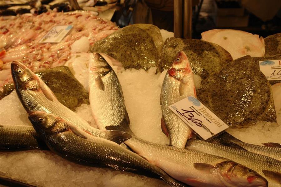 Venedig Fischmarkt Bild 1100