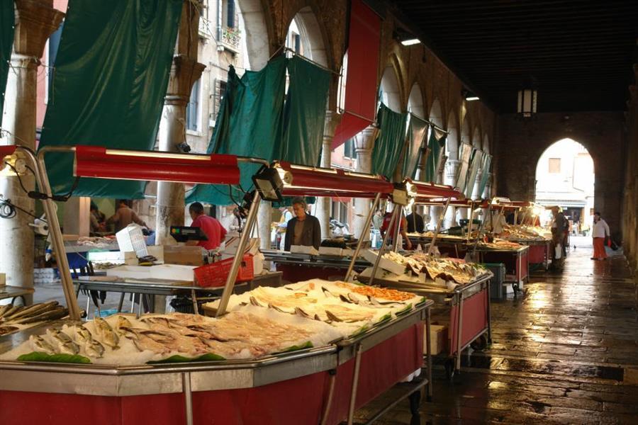 Venedig Fischmarkt Bild 4800