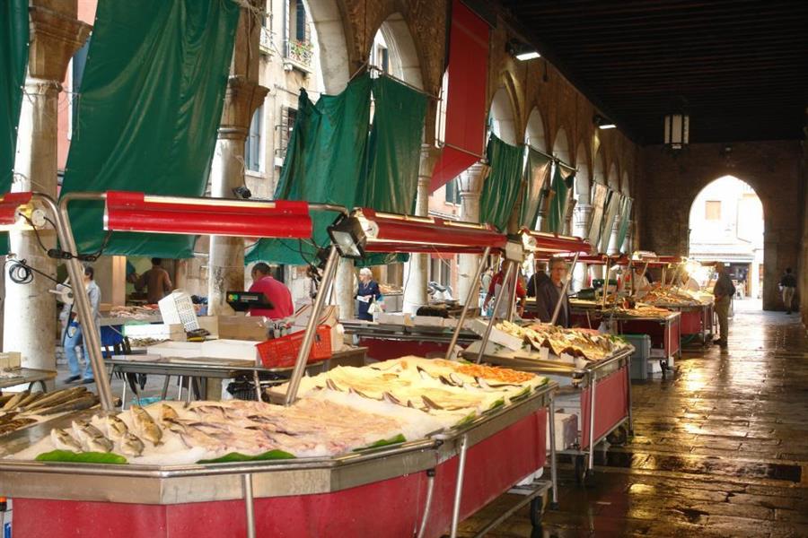 Venedig Fischmarkt Bild 4900
