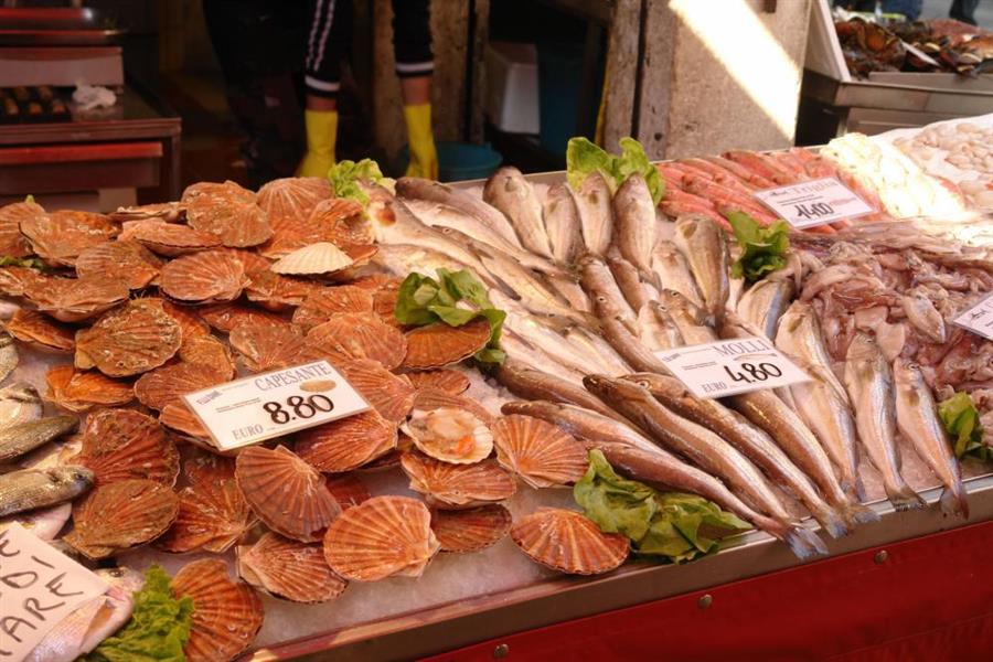 Venedig Fischmarkt Bild 600